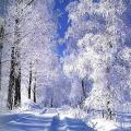 Neige
